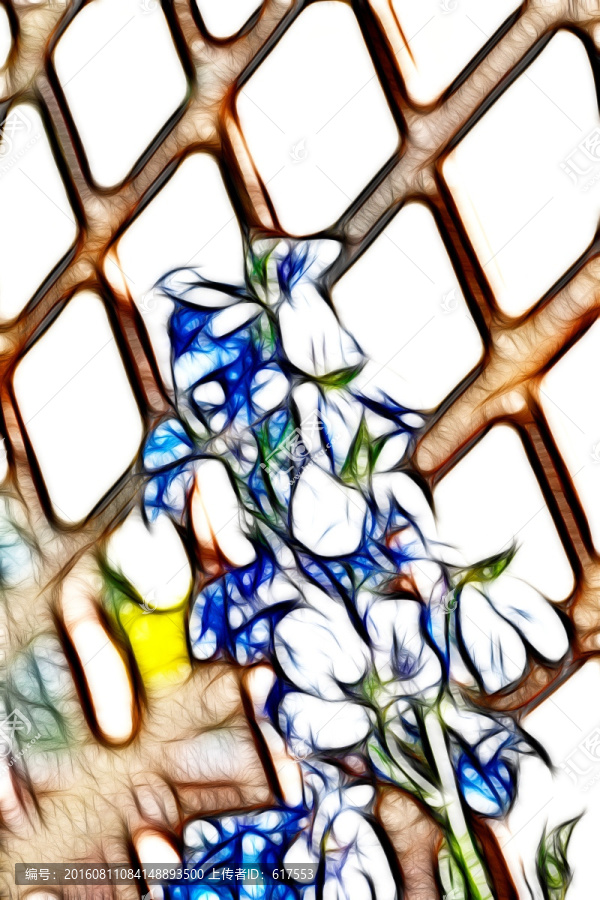 非洲紫羅蘭花束