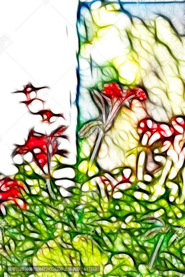 六倍利花