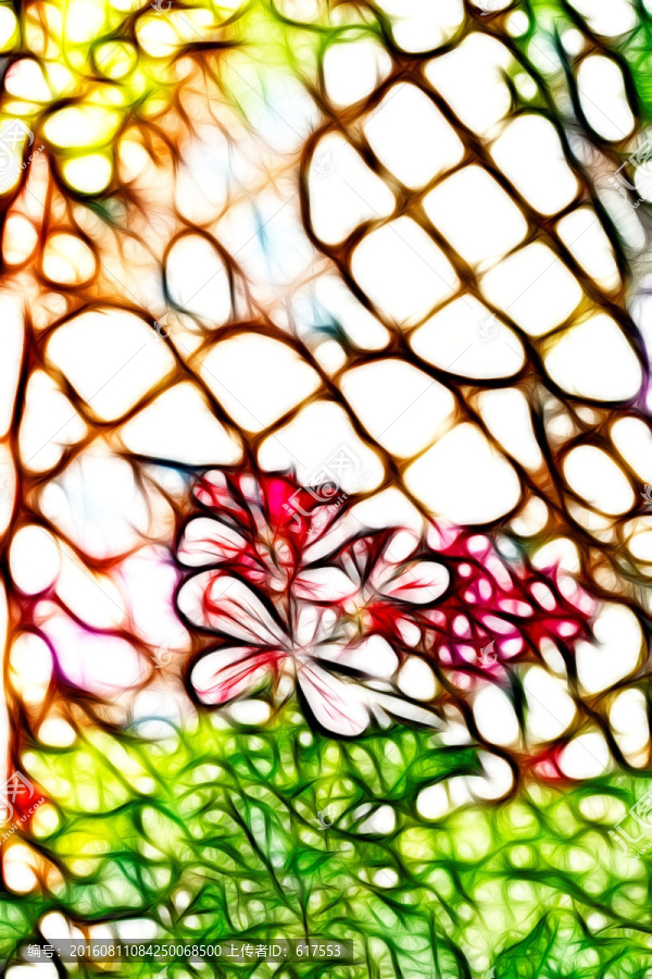 六倍利花