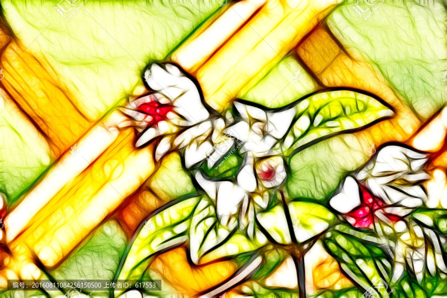龍吐珠花枝