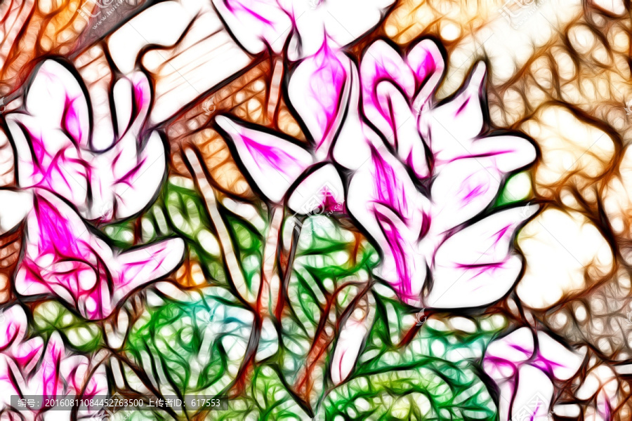 仙客來(lái)花叢