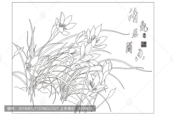 清氣若蘭香,蘭花