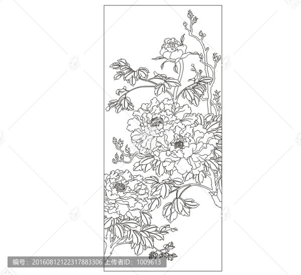牡丹