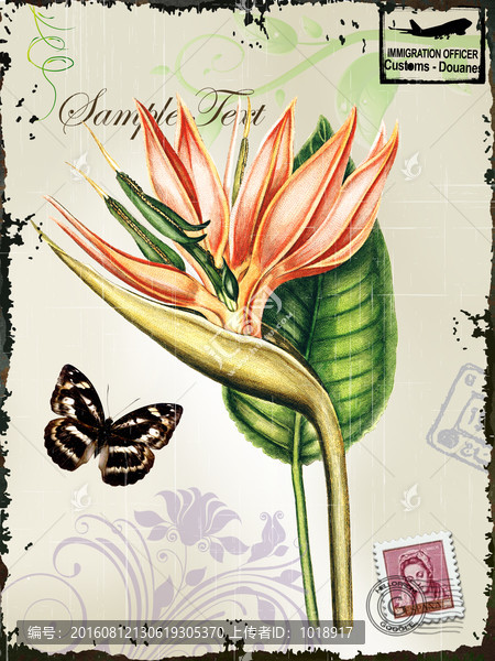 花卉裝飾畫,蝴蝶,歐美復古風格