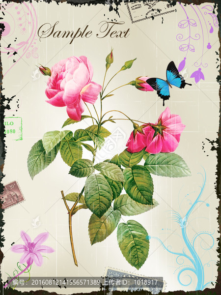 花卉裝飾畫(huà),蝴蝶,歐美復(fù)古風(fēng)格