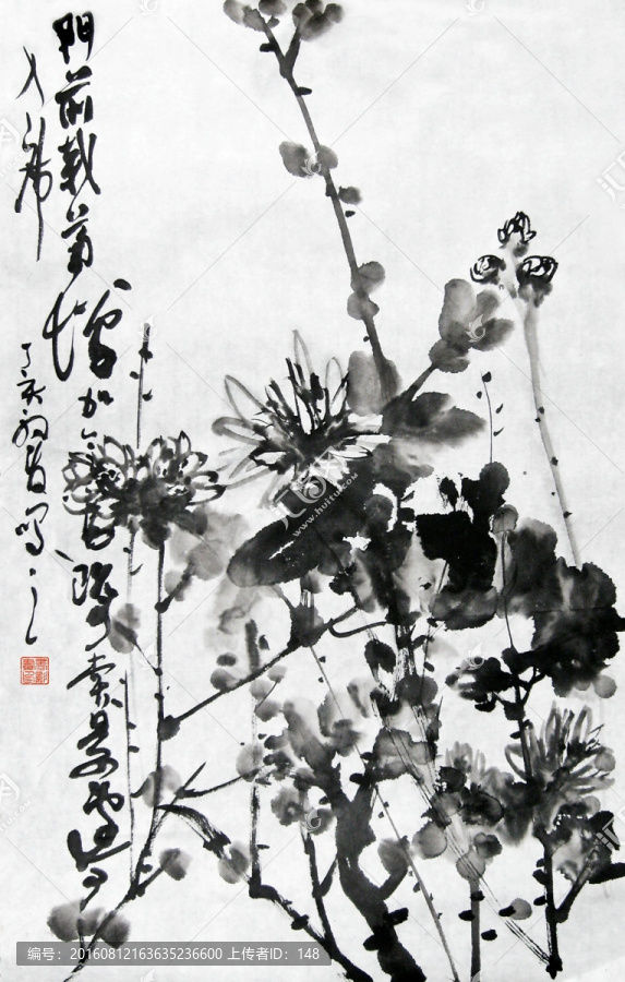 水墨菊花