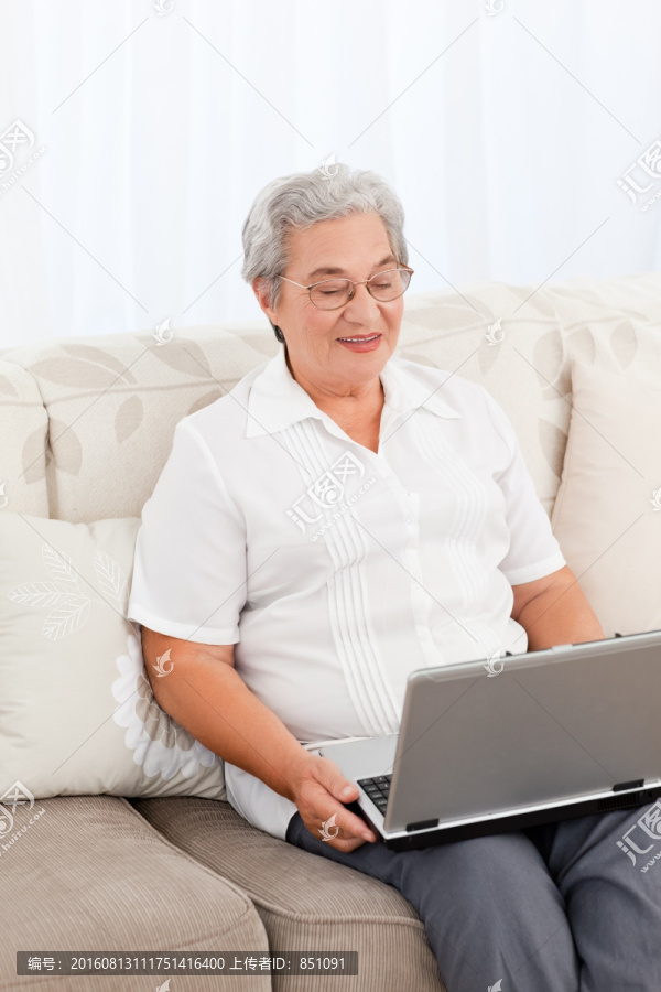 老奶奶客厅玩电脑