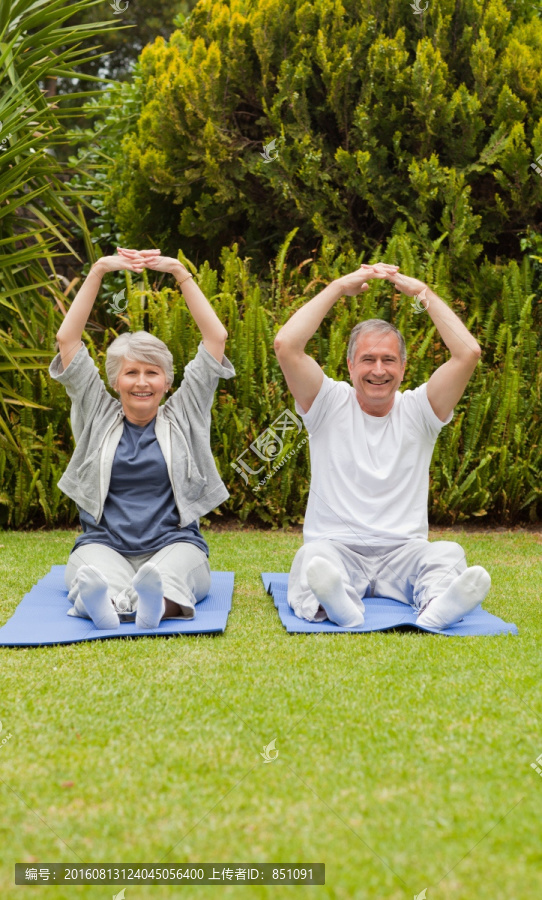 在花园里做锻炼的老年夫妇