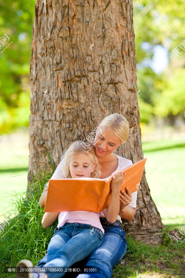 母女倚在大树下看书
