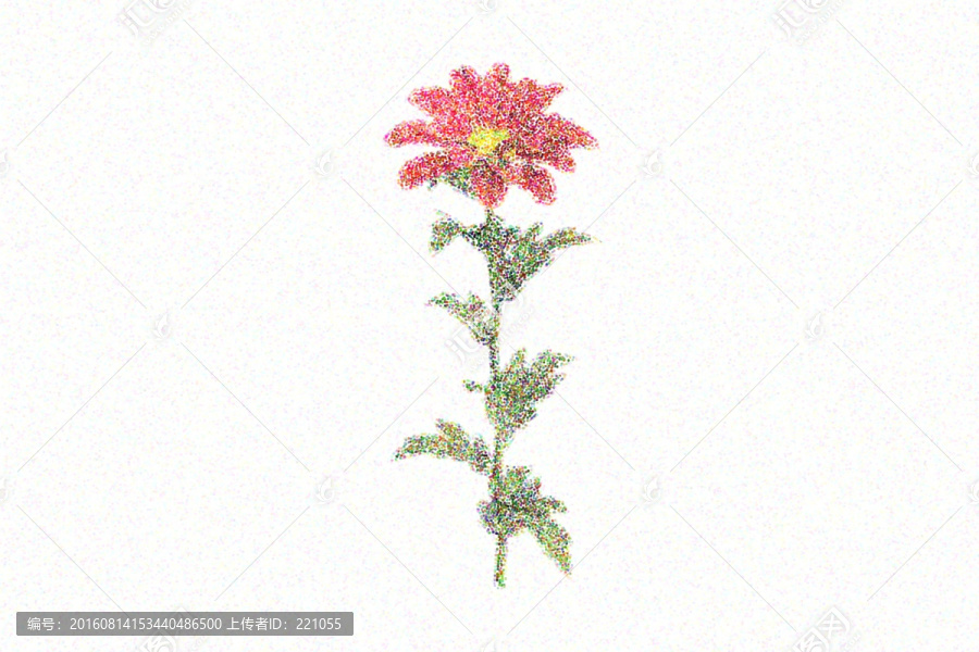 油畫風(fēng)格的繽菊