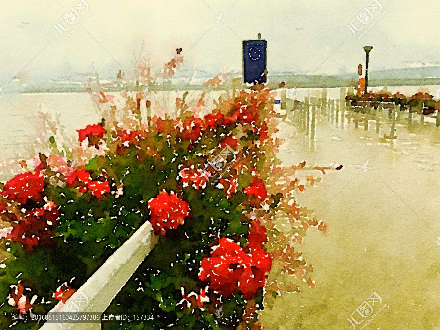水彩花卉