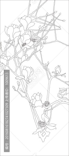 玉樹臨風(fēng)玉蘭