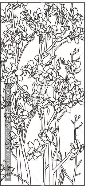 玉樹生輝玉蘭