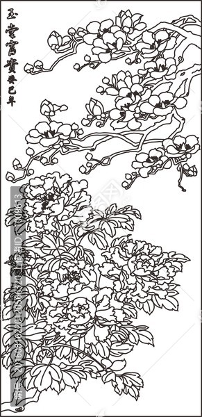 玉堂富貴玉蘭牡丹