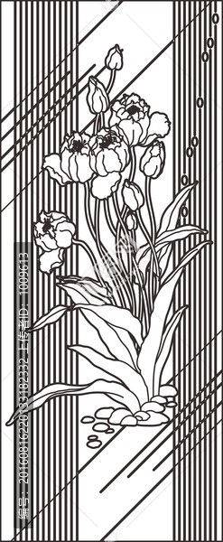 郁金香