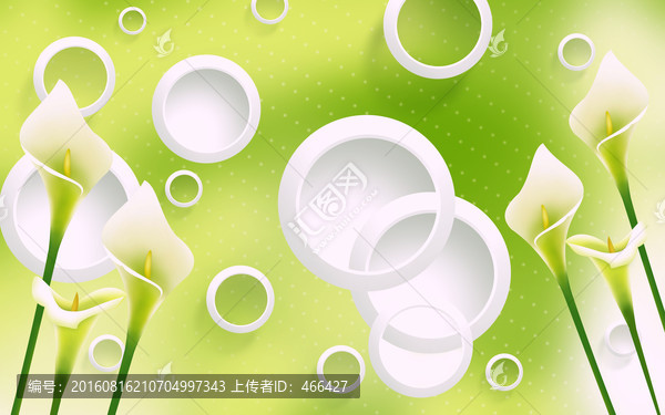 馬蹄蓮3D立體電視背景墻