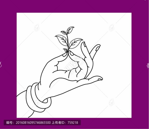采茶