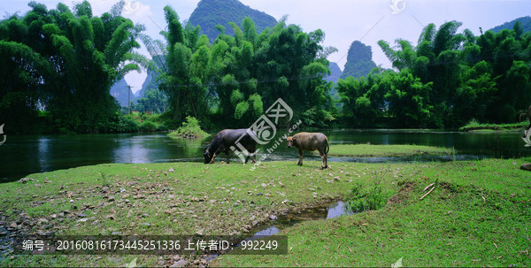 桂林风景