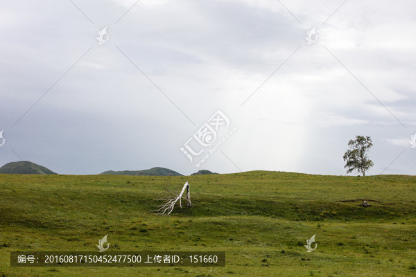 内蒙坝上草原风光