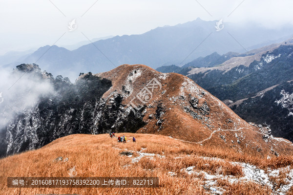 高山云雾