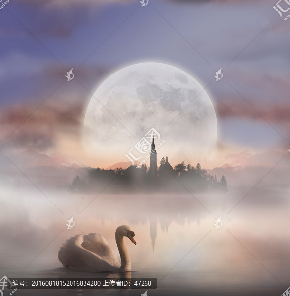 中秋月亮天鵝湖