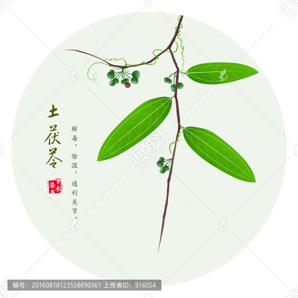 手繪土茯苓