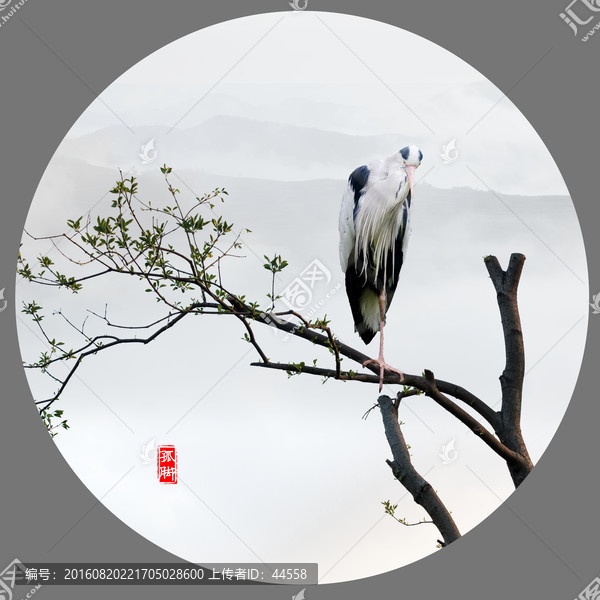 畫意,飛鳥,鳥立枝頭
