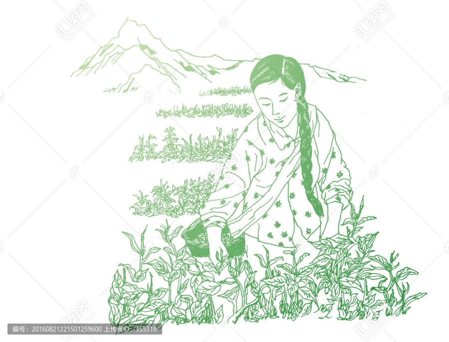 采茶手繪