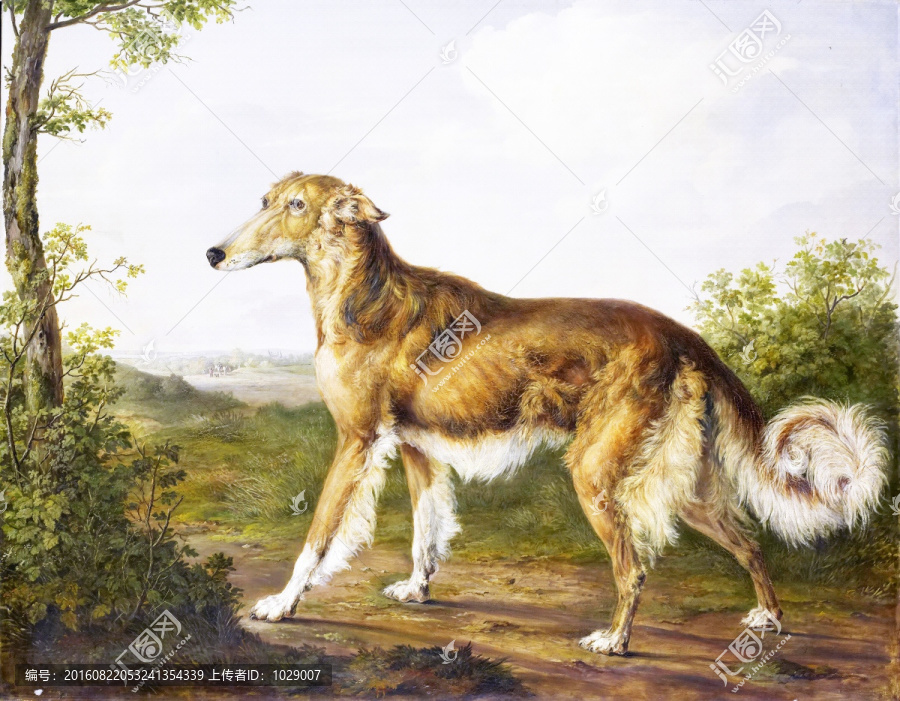 狗狗動物油畫