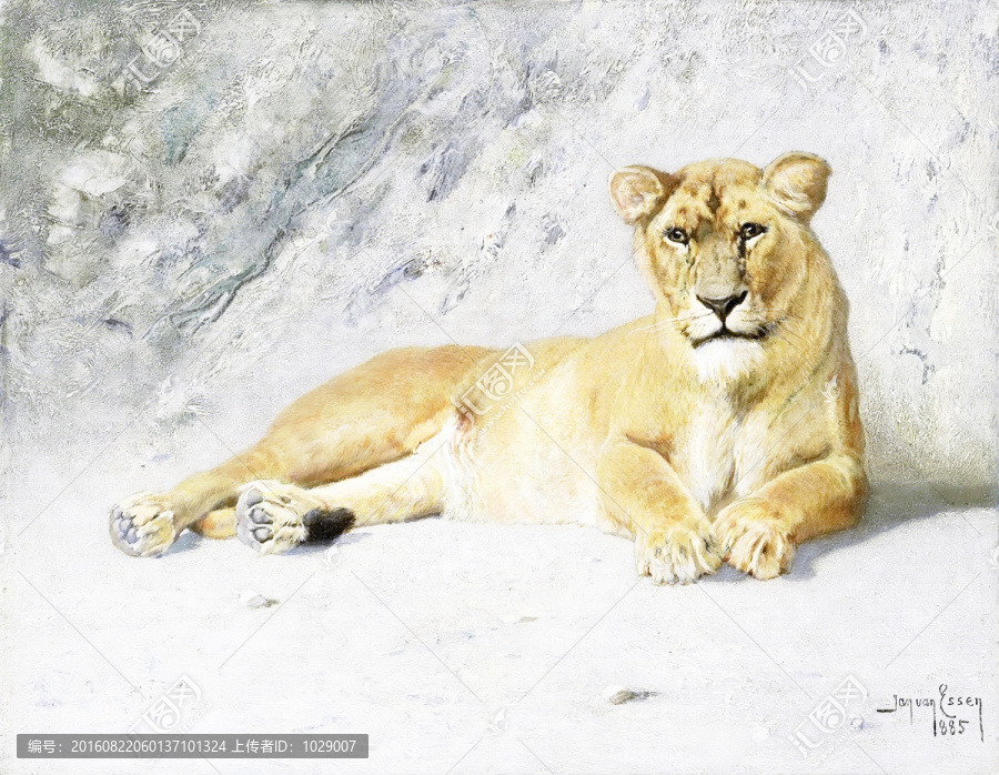 獅子動物油畫