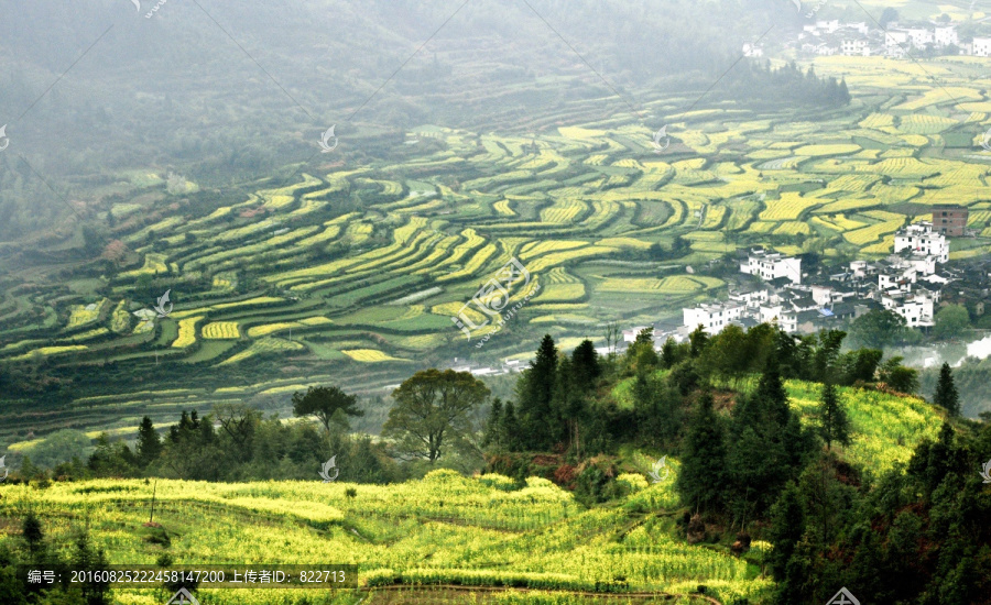 江岭油菜花梯田