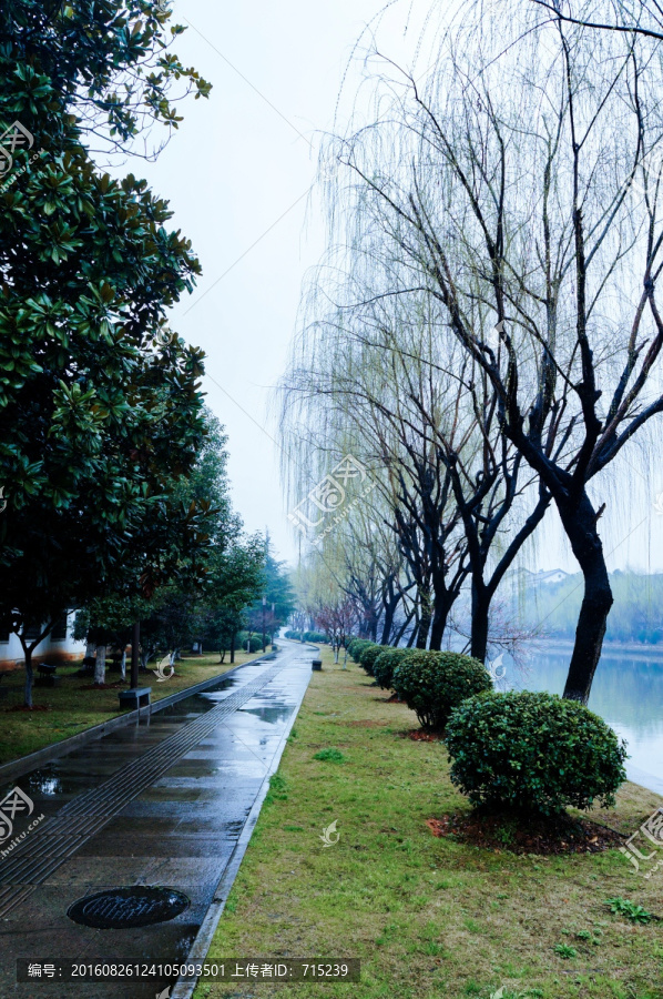 雨后的河边公园