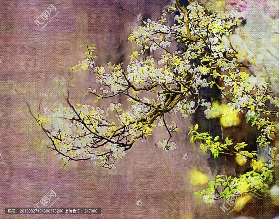 花卉,梨花,油畫