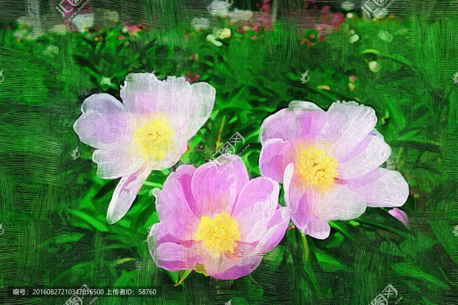 電腦畫,芍藥花