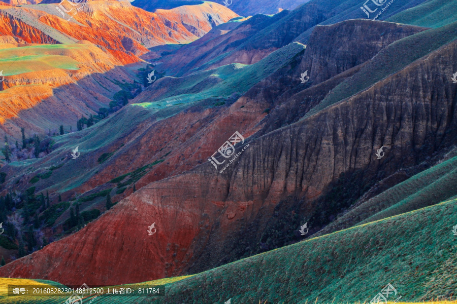 春季天山山脉牧场