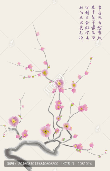 梅花