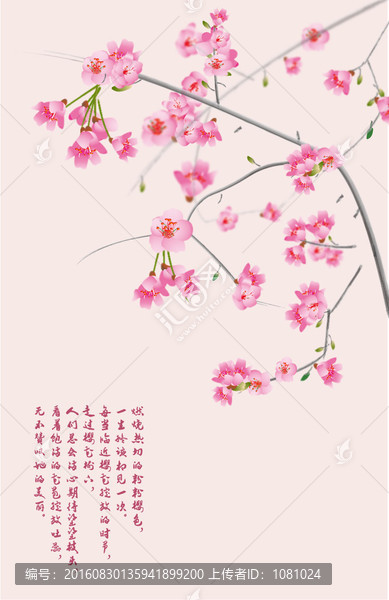 櫻花