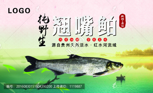 魚海報(bào)