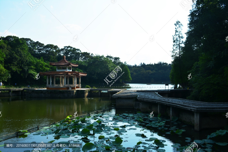 湿地公园,唯美风景