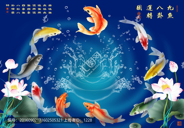 九魚荷花圖