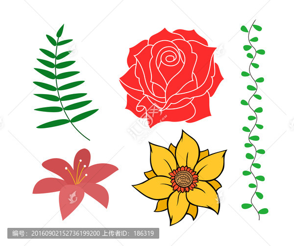 花卉