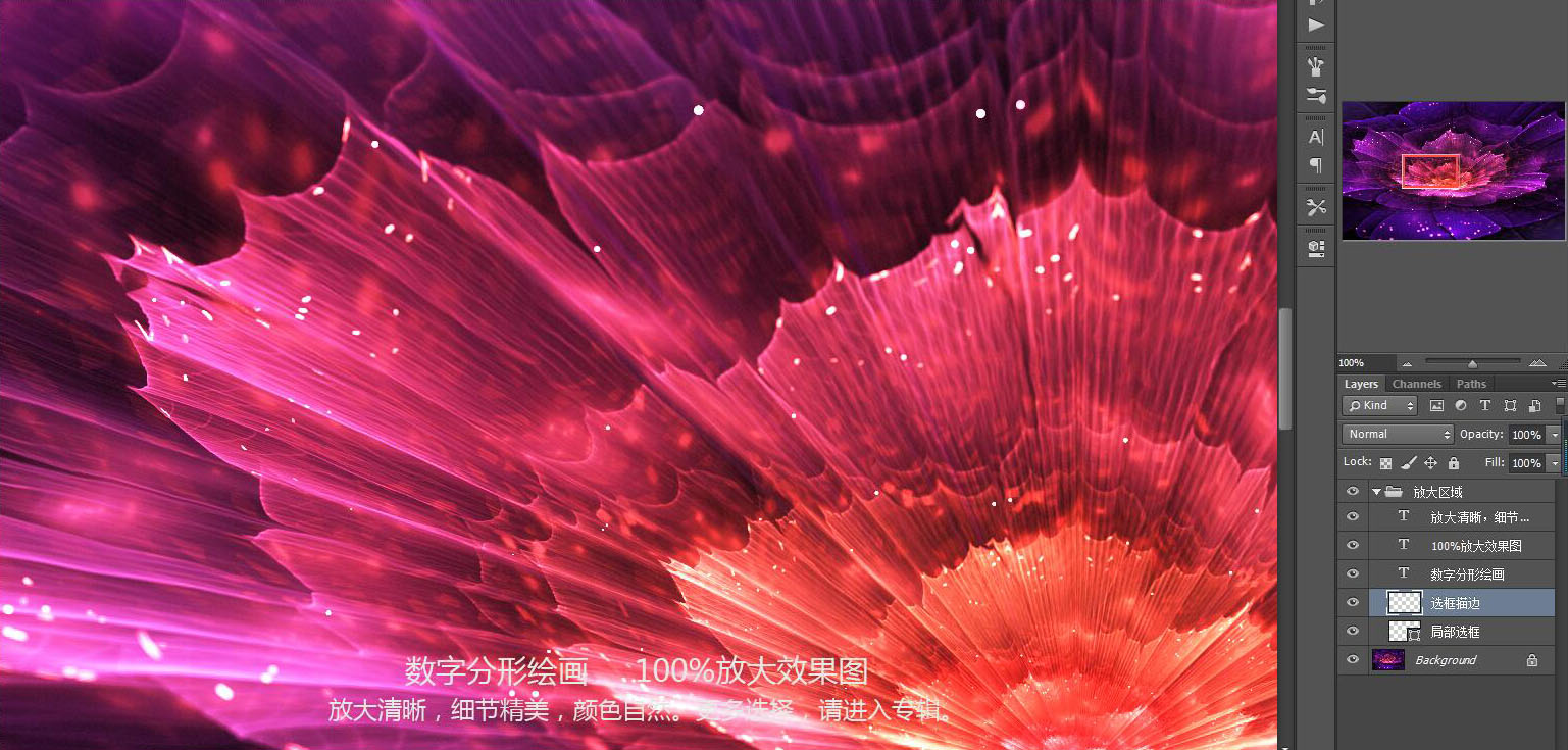 花紋圖案