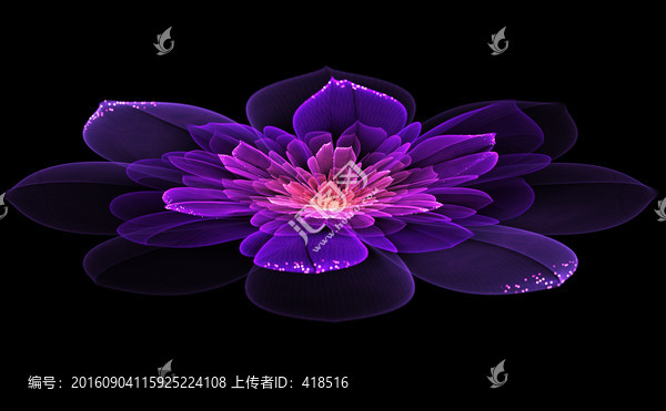 花紋圖案