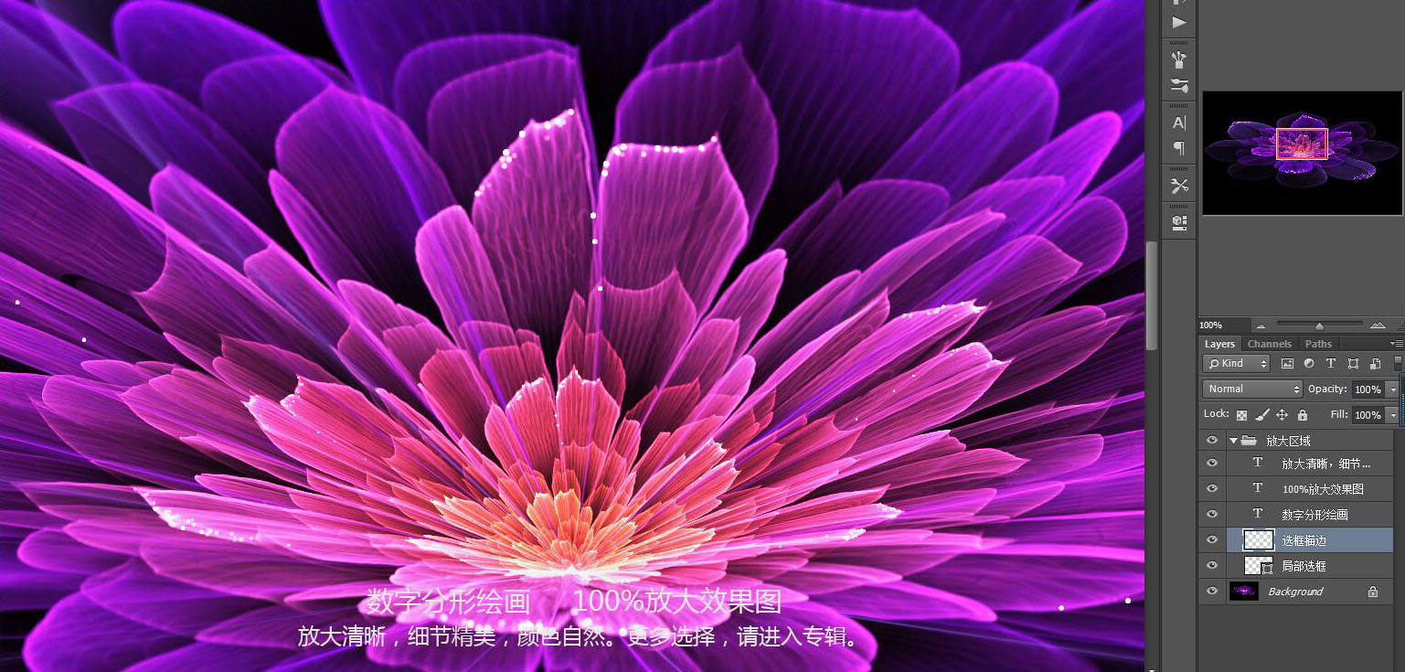 花紋圖案