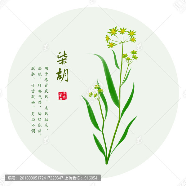 手繪柴胡,地熏,柴草