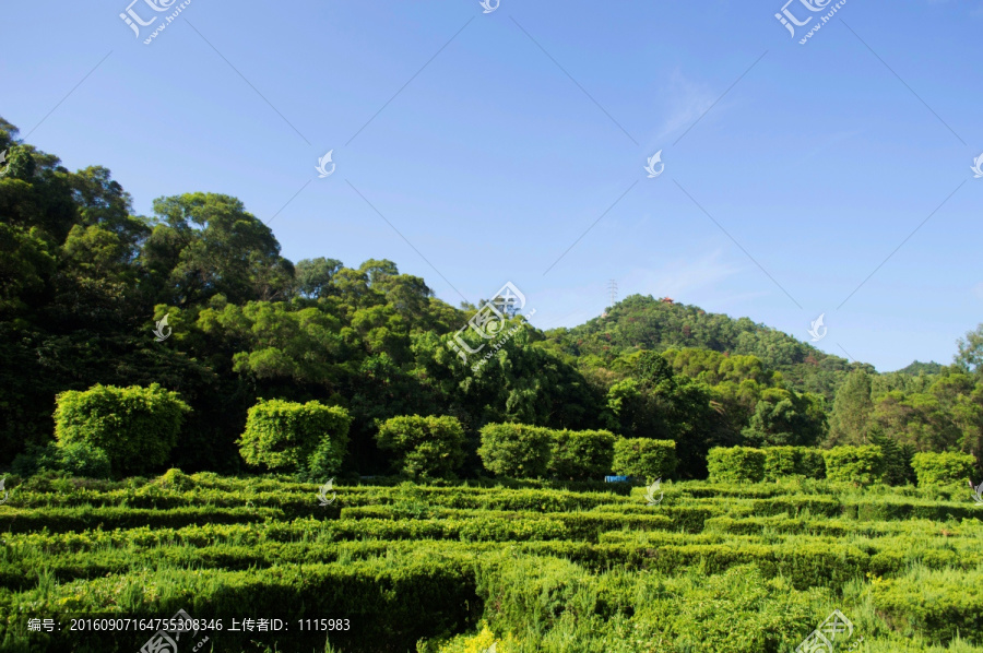 蓝天青山