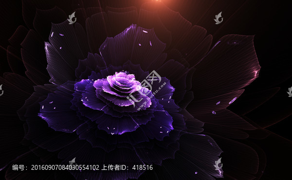 花朵