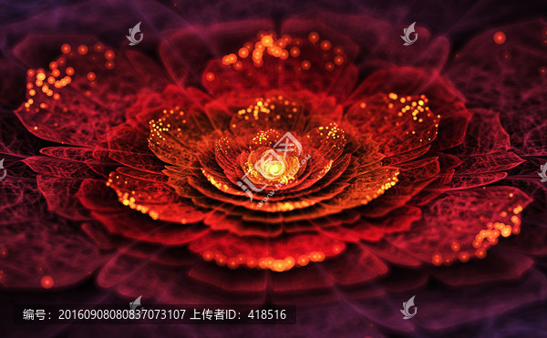 花朵