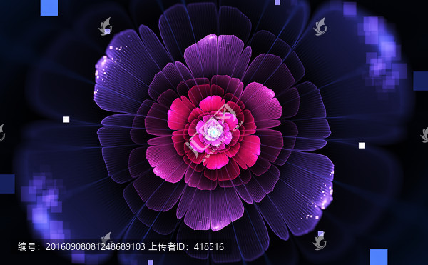 花朵