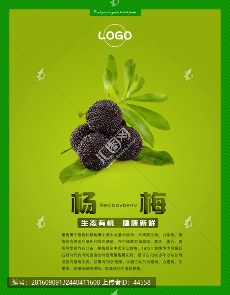 楊梅